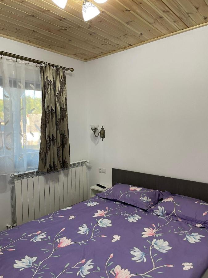 Casa De Langa Padure Hotell Sighetu Marmaţiei Eksteriør bilde